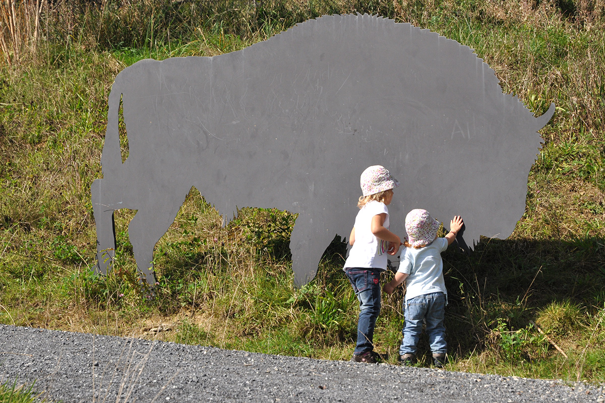 AWey_Wildnispark_Urzeit-Rundweg_E1